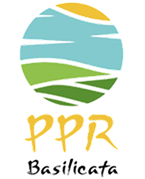 logo-ppr