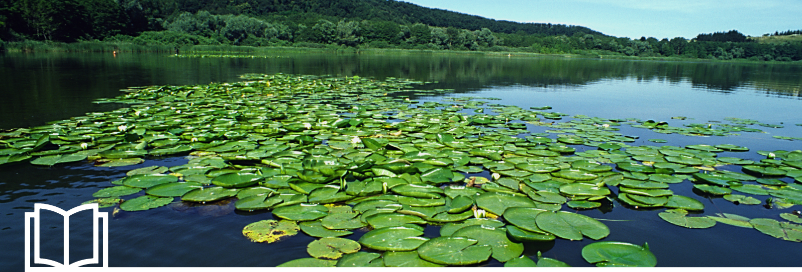 laghi_acque