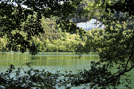 fruizione aree boschive