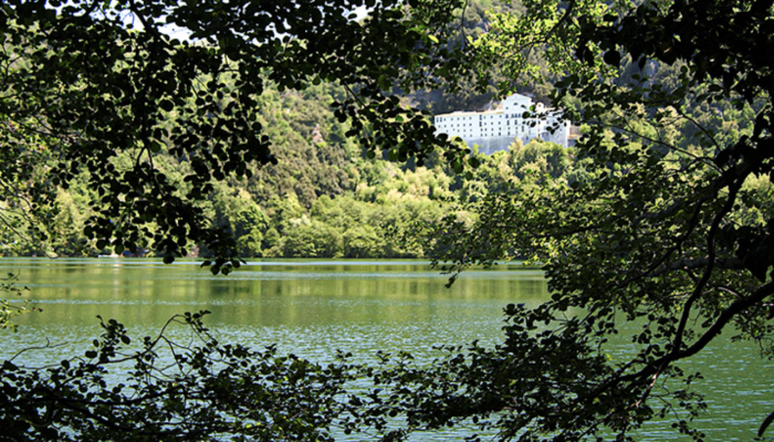 fruizione aree boschive