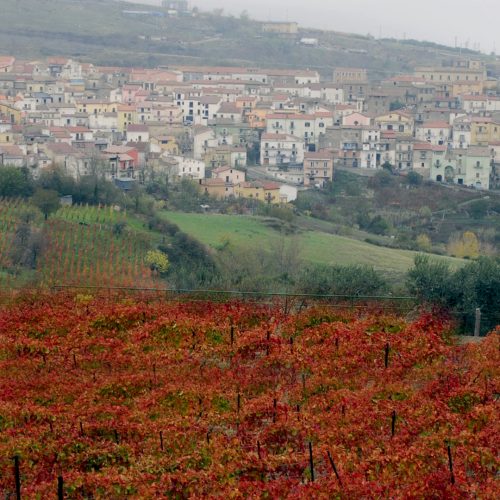 panoramica (1)