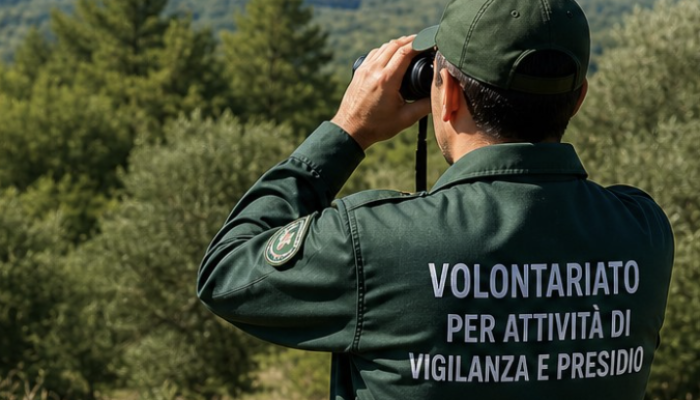 volontariato per attività vigilanza e presidio
